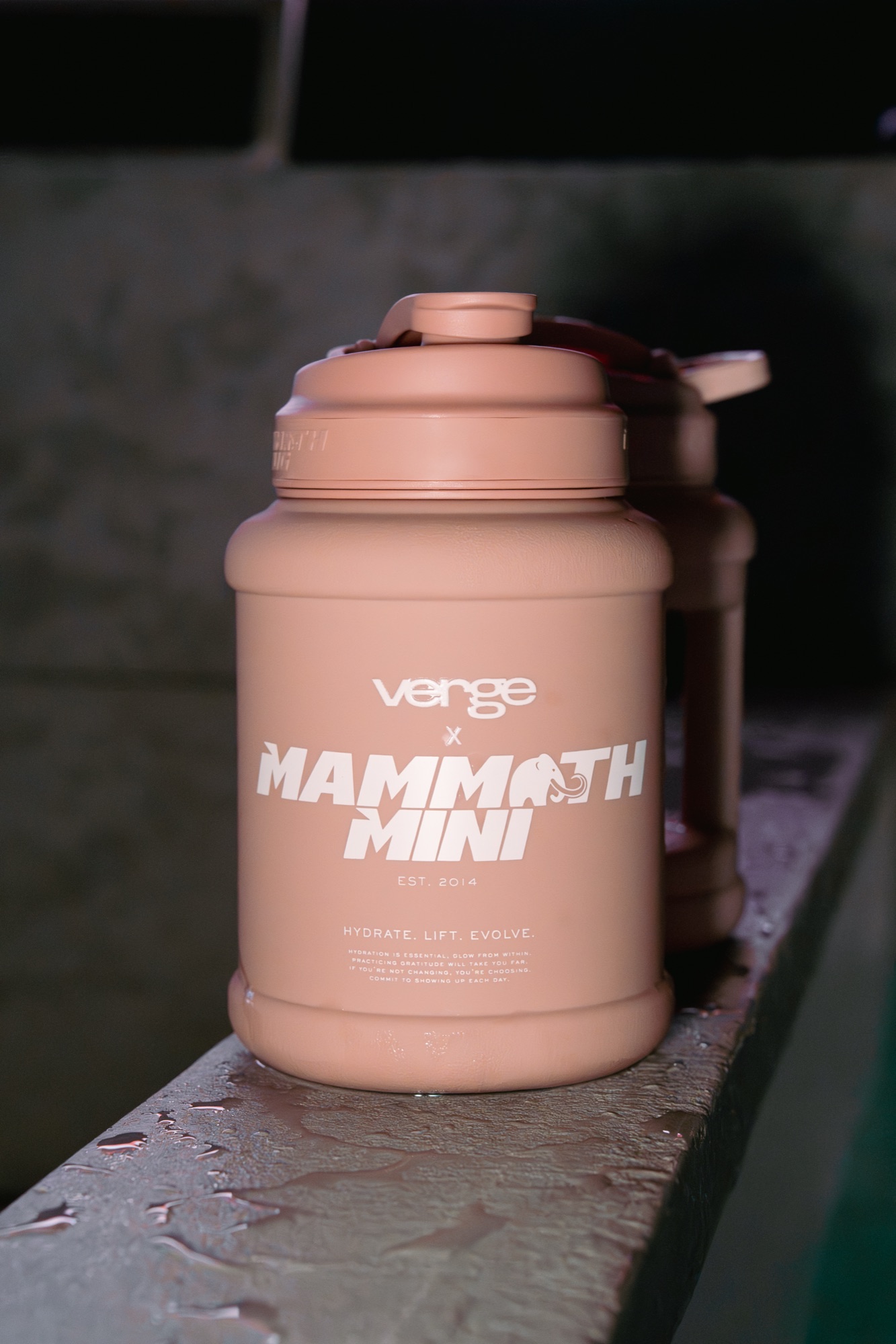 Mammoth Mug at SOLARA